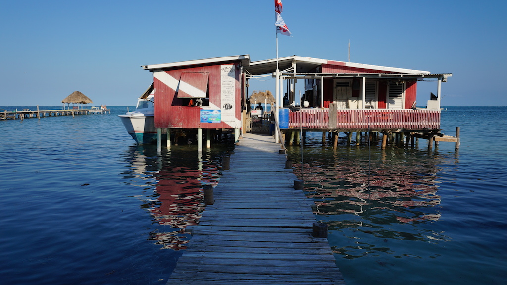 How to choose the right dive company for diving at the Blue Hole in Belize