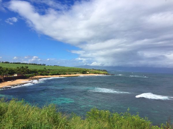 Maui's famous road to Hana