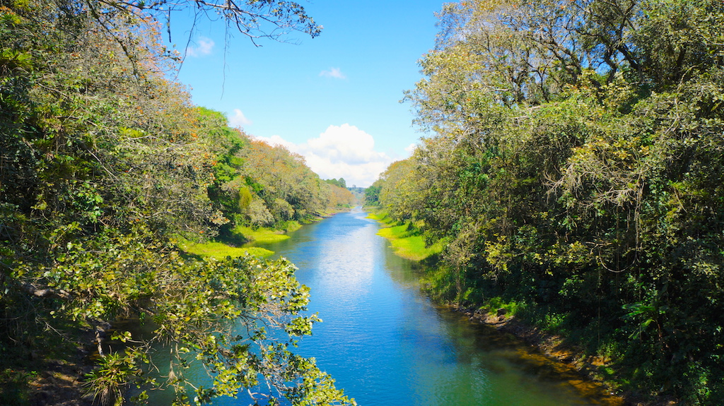 River next to Lago Yojoa 