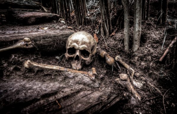 bones and a skull lay on the ground in a forest