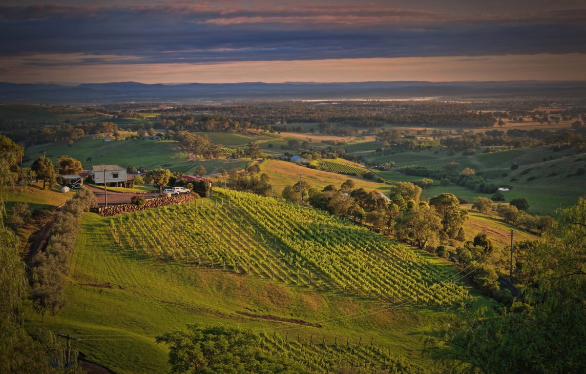 A view onto Hunter Valley, NSW, Australia