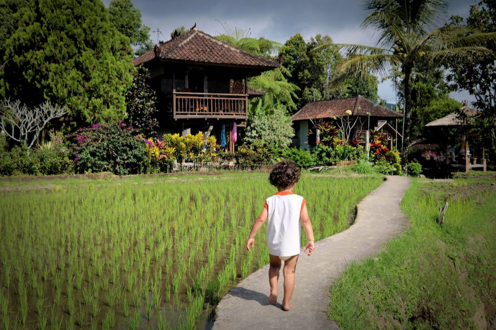 Toddler walking on a small concrete footpath in between rice fields, Balinese houses in the background.