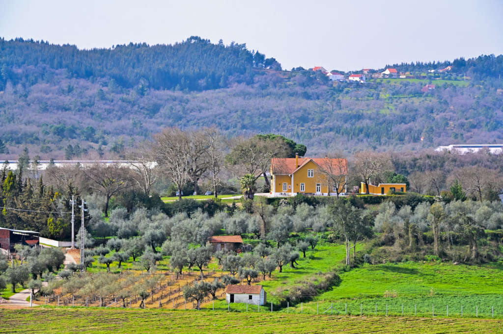 The perfect setting of the Family Workation in Portugal for Digital Nomad Families.